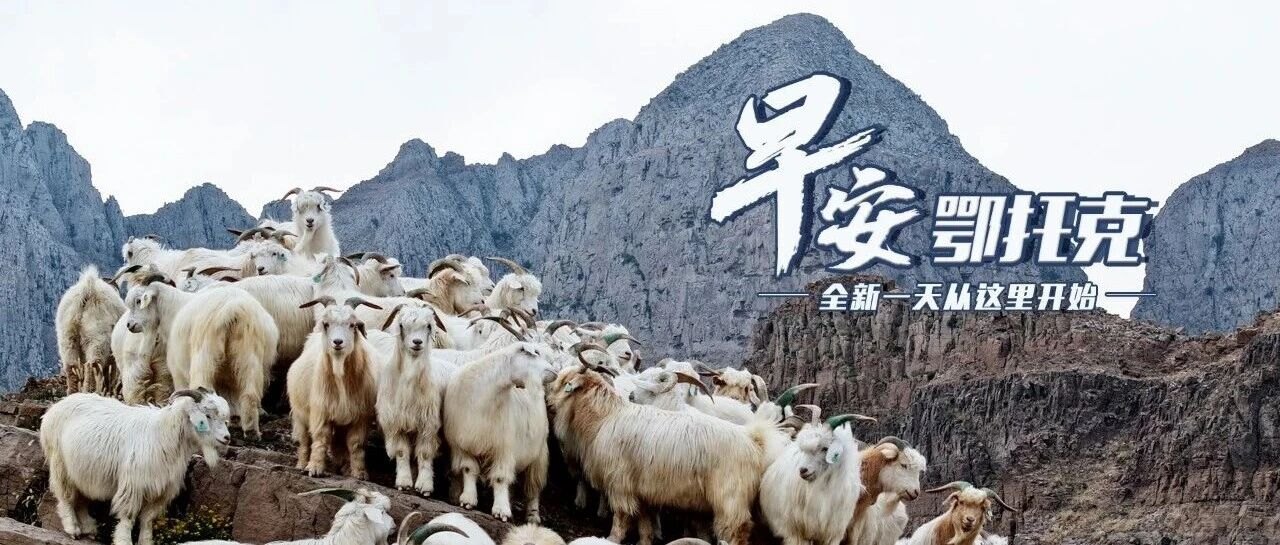 多条航线票价低至两三百元 | 国庆假期国内出游8.26亿人次 | 蒙BA常规赛落幕鄂尔多斯挺进季后赛……